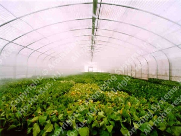 Agriculture